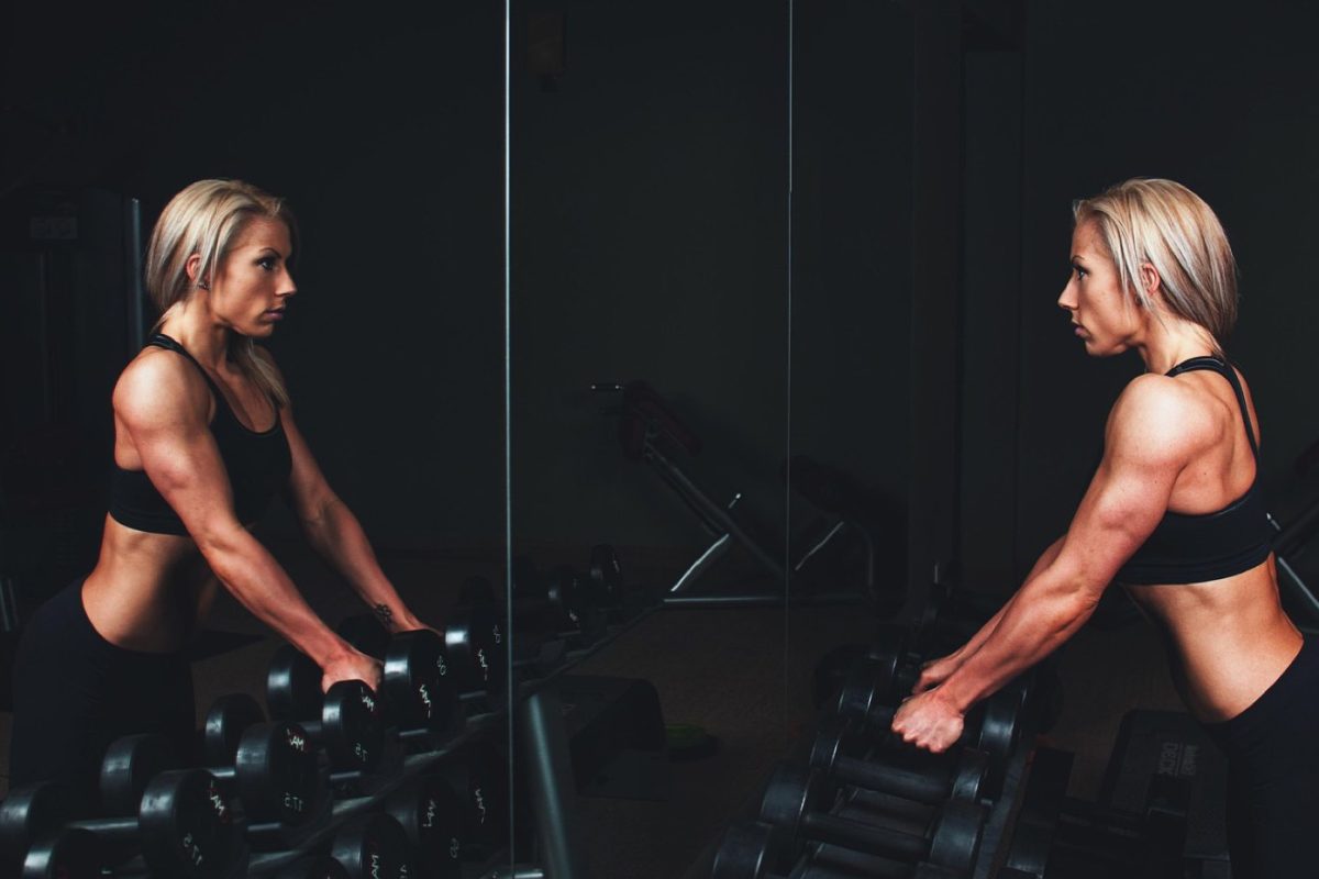 Fitness Park ou L'Orange Bleue : quel club choisir ?