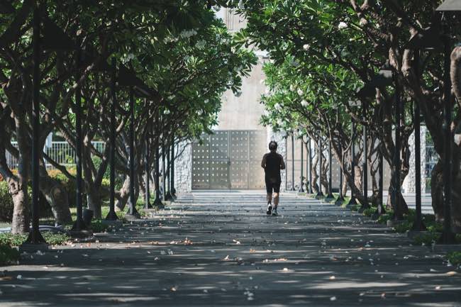 Pourquoi est-il essentiel de rester actif au quotidien ?