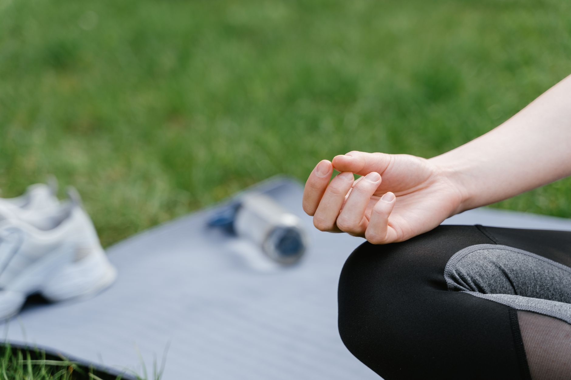 Basic-Fit ou Fitness Park pour la musculation : comparatif neutre