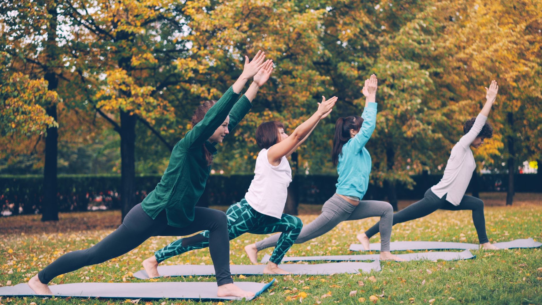 Fitness Park ou L'Orange Bleue : quel club choisir ?